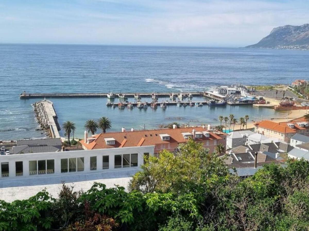 The Dragon Tree Guesthouse Kalk Bay Exterior foto
